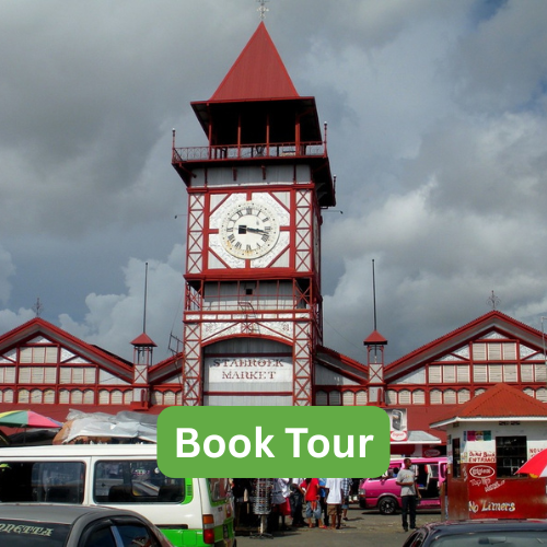 Guyana's City Tour (R-4)