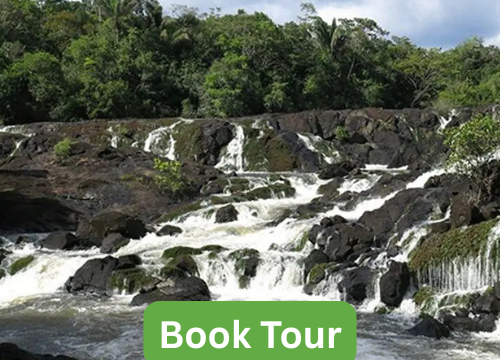 Neighbouring Tours to Suriname